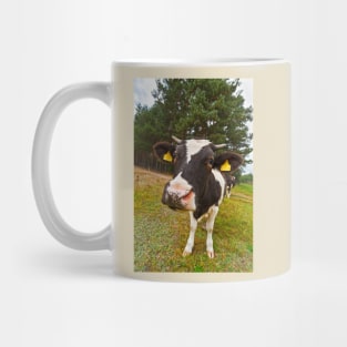 Cow looking at camera Mug